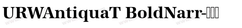 URWAntiquaT BoldNarr字体转换